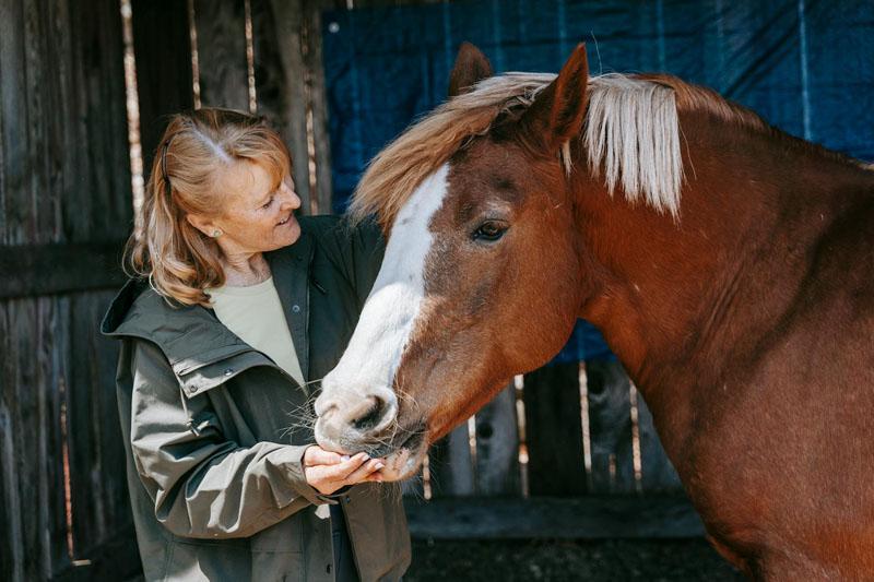 vrouw die haar paard beloningsgericht aan het trainen is